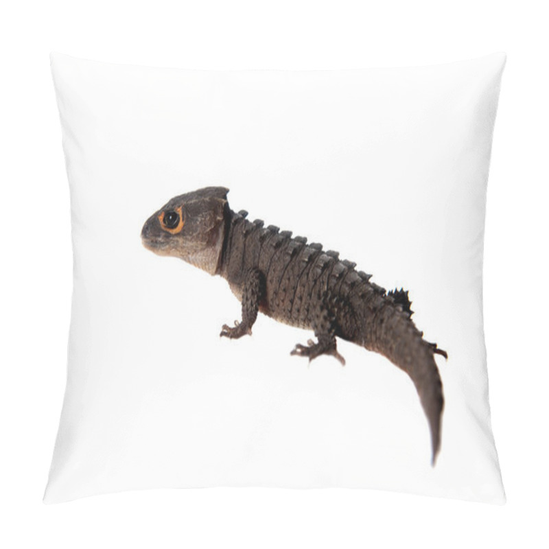 Personality  Red-eyed Crocodile Skinks, Tribolonotus Gracilis, On White Pillow Covers