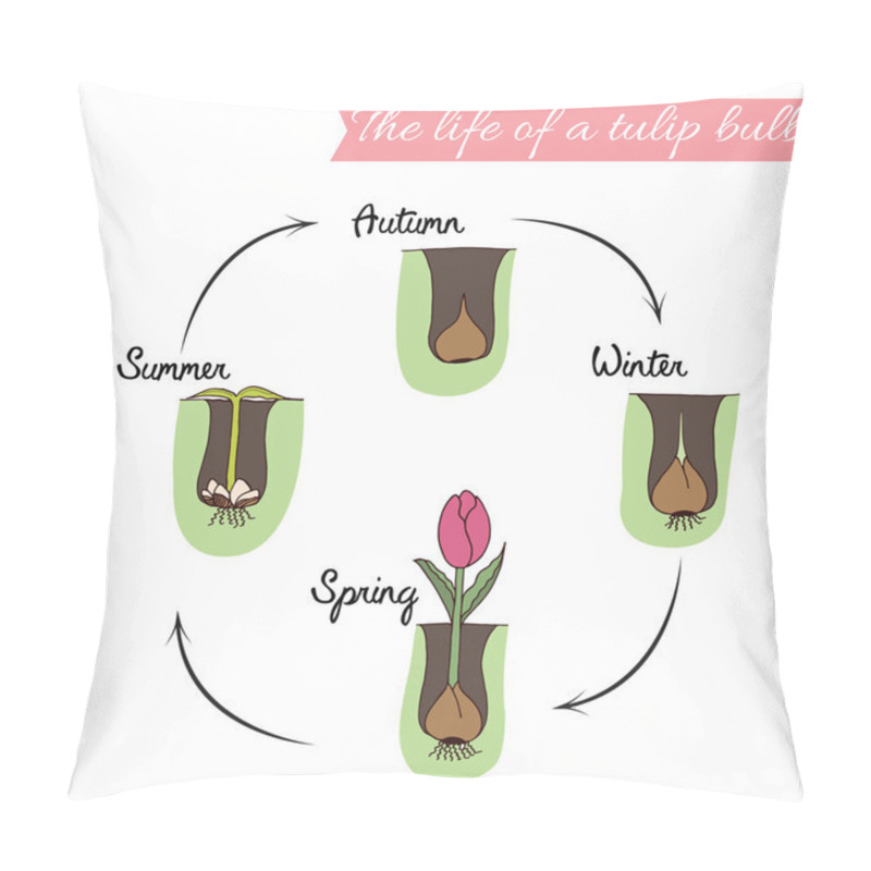 Personality  How To Plant Tulips.  Pillow Covers