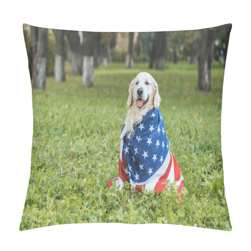 Personality  Cute Golden Retriever Dog Wrapped In American Flag Sitting On Grass In Park Pillow Covers