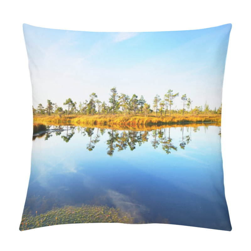 Personality  Crystal Clear Lake And Swamp In A Morning Haze. Reflection On The Water. Bright Blue Sky. Pine Trees In The Background. Kemeri National Park, Latvia Pillow Covers