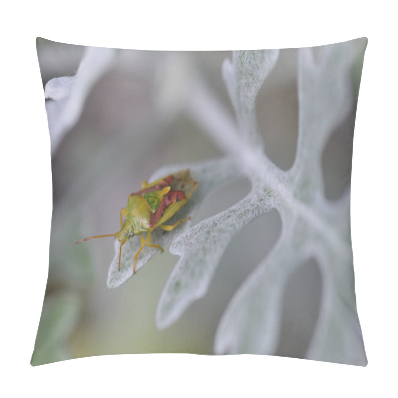 Personality  A Birch Shieldbug (Elasmostethus Interstinctus) On A Leaf. Pillow Covers