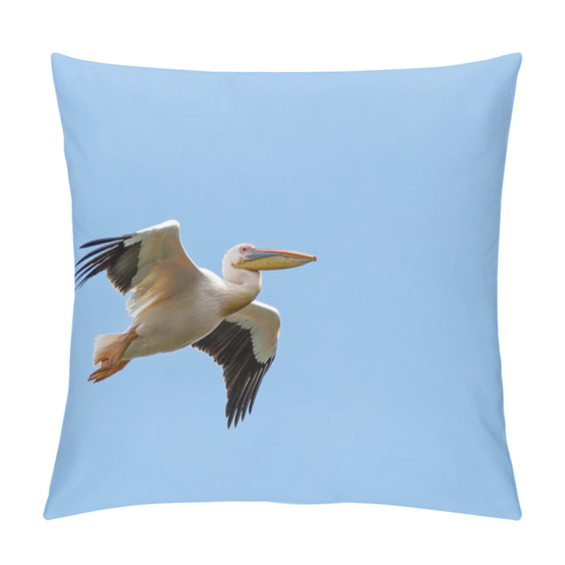 Personality  Great White Pelican Pillow Covers