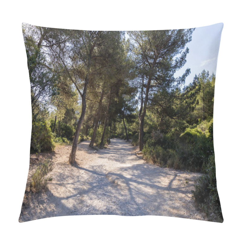 Personality  Aerial View Of High Cliffs, Green Vegetation And Calm Sea In Calanques De Marseille (Massif Des Calanques), Provence, France Pillow Covers