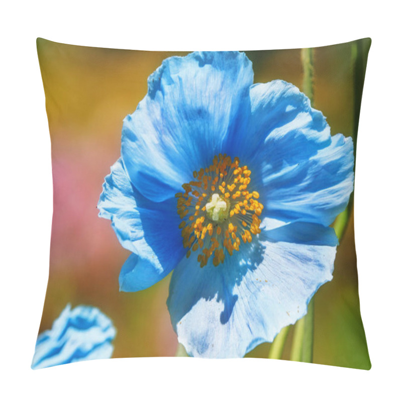 Personality  Himalayan Blue Tibet Poppy Pillow Covers