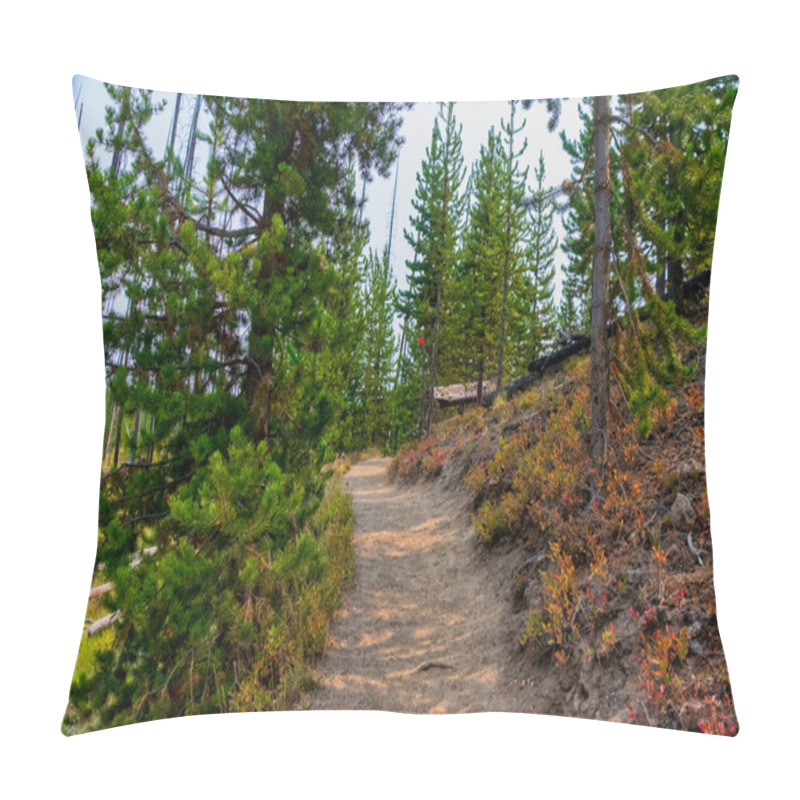 Personality  Relaxing Hiking Trail In Yellowstone National Park, Wyoming Pillow Covers