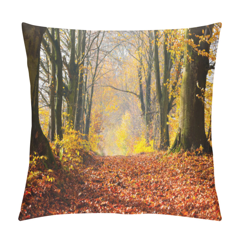 Personality  Autumn, Fall Forest. Pillow Covers