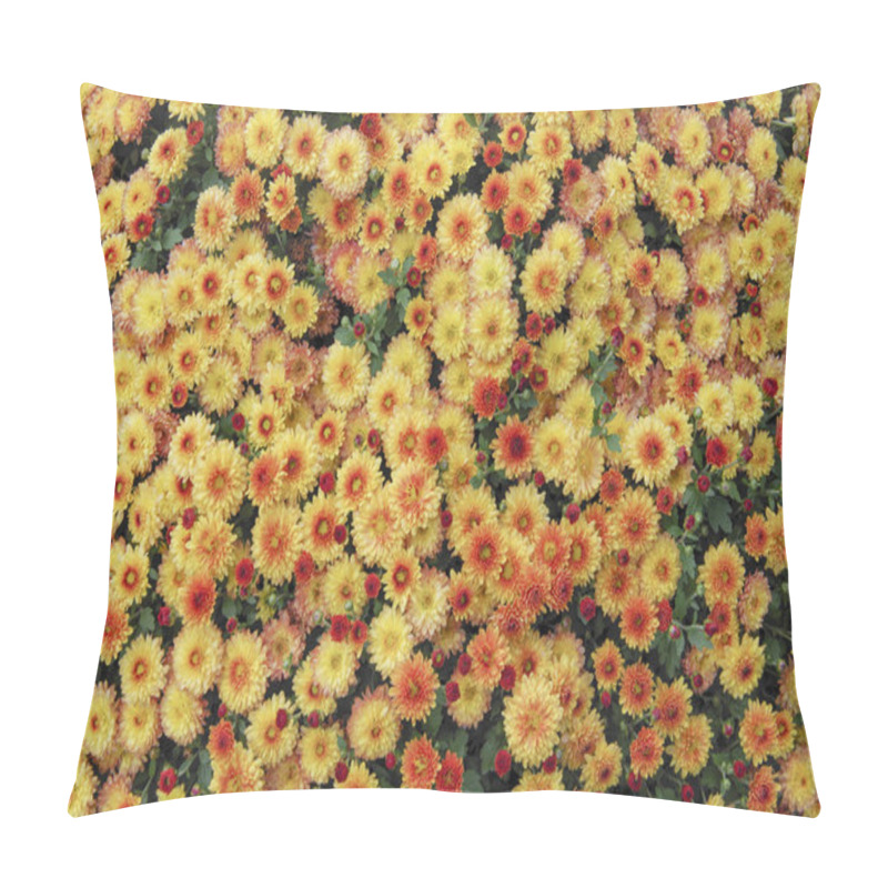 Personality  Shrub Orange Chrysanthemum In Autumn Pillow Covers