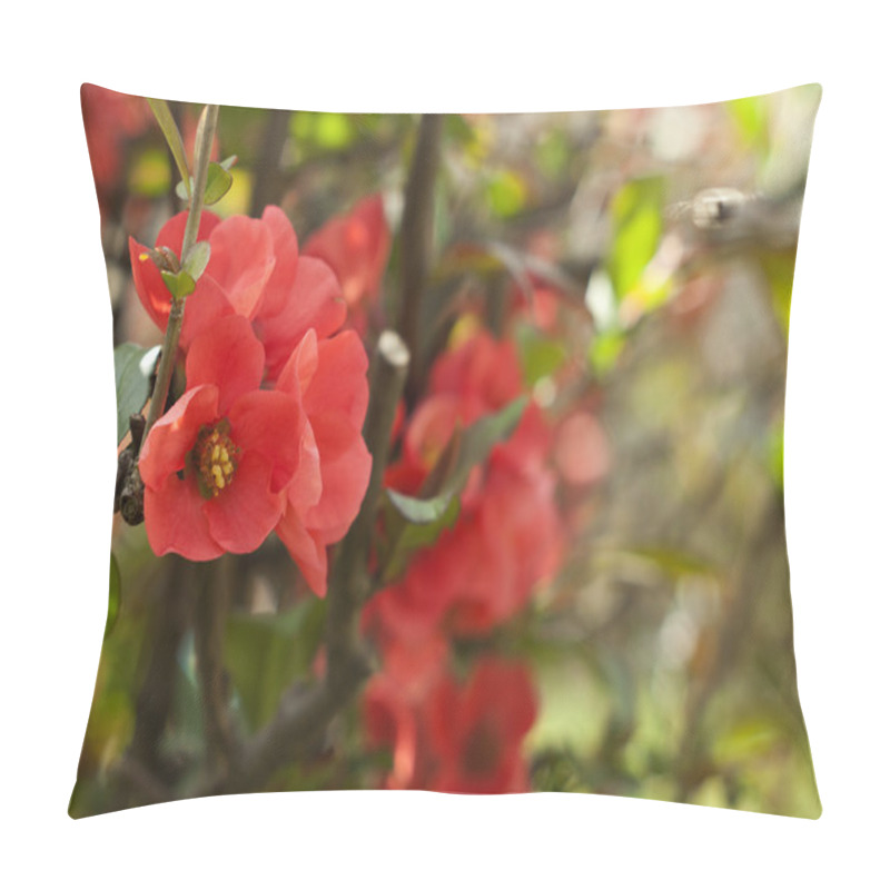 Personality  Spring Background Pillow Covers