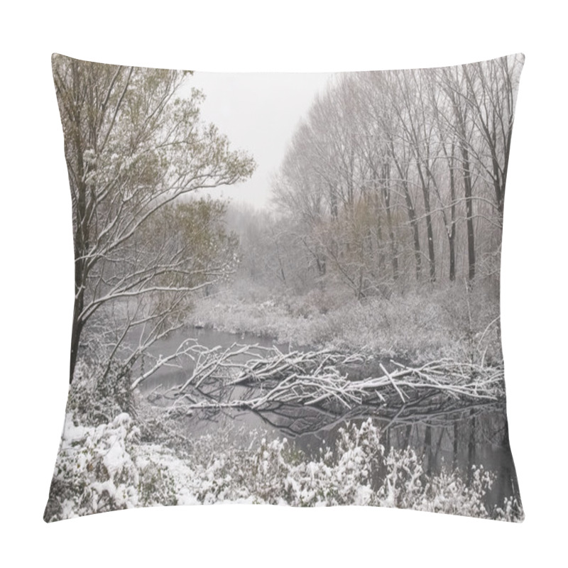 Personality  The Marshes Of The River Oglio In Winter  Pillow Covers