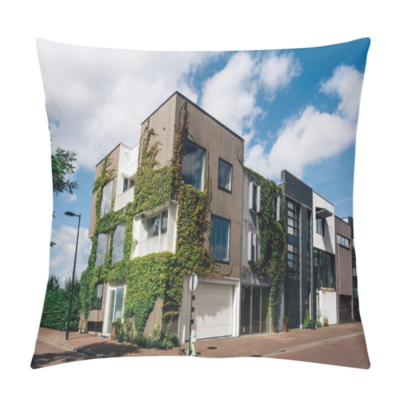 Personality  Row Modern Architecture Houses In Amsterdam Pillow Covers