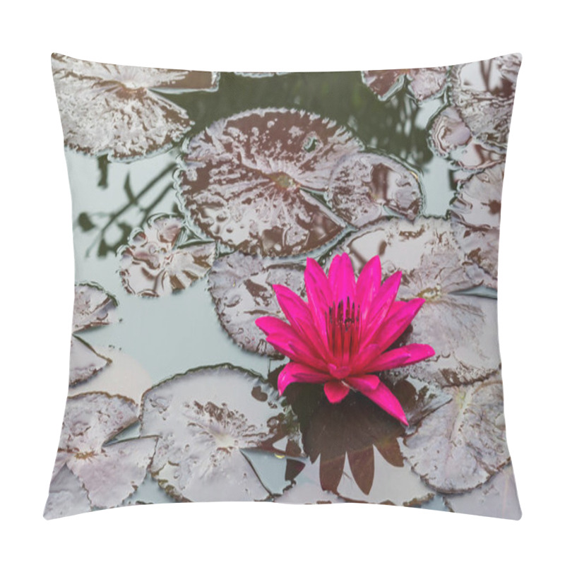 Personality  This Beautiful Waterlily Or Lotus Flower Is Complimented By The Rich Colors. Saturated Colors And Vibrant Detail Make This An Almost Surreal Image. Pillow Covers