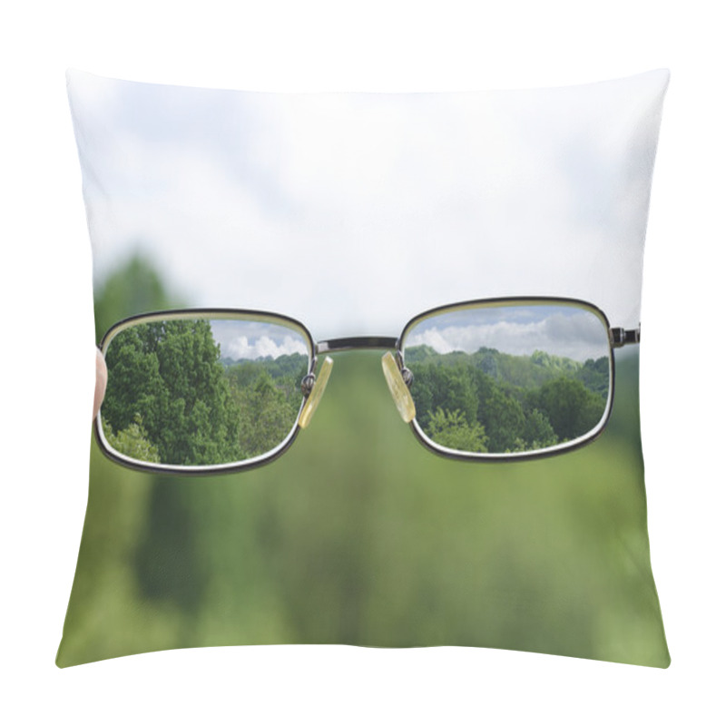 Personality  Seeing Nature Through The Glasses Pillow Covers