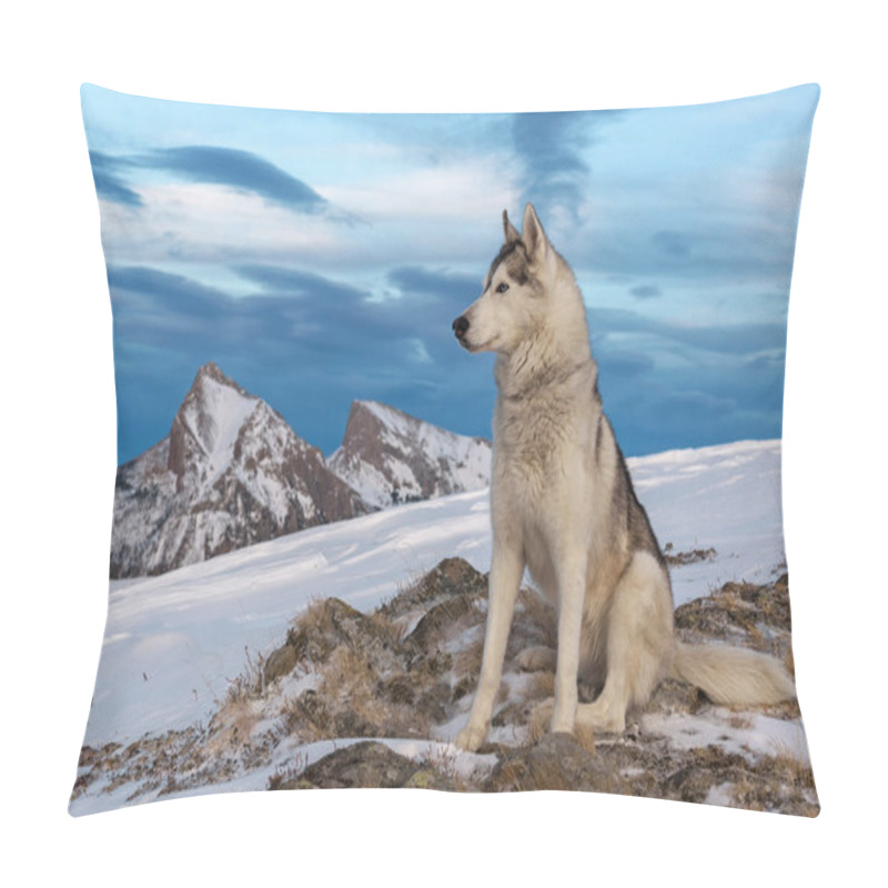 Personality  Siberian Husky In Snowy Mountains Pillow Covers