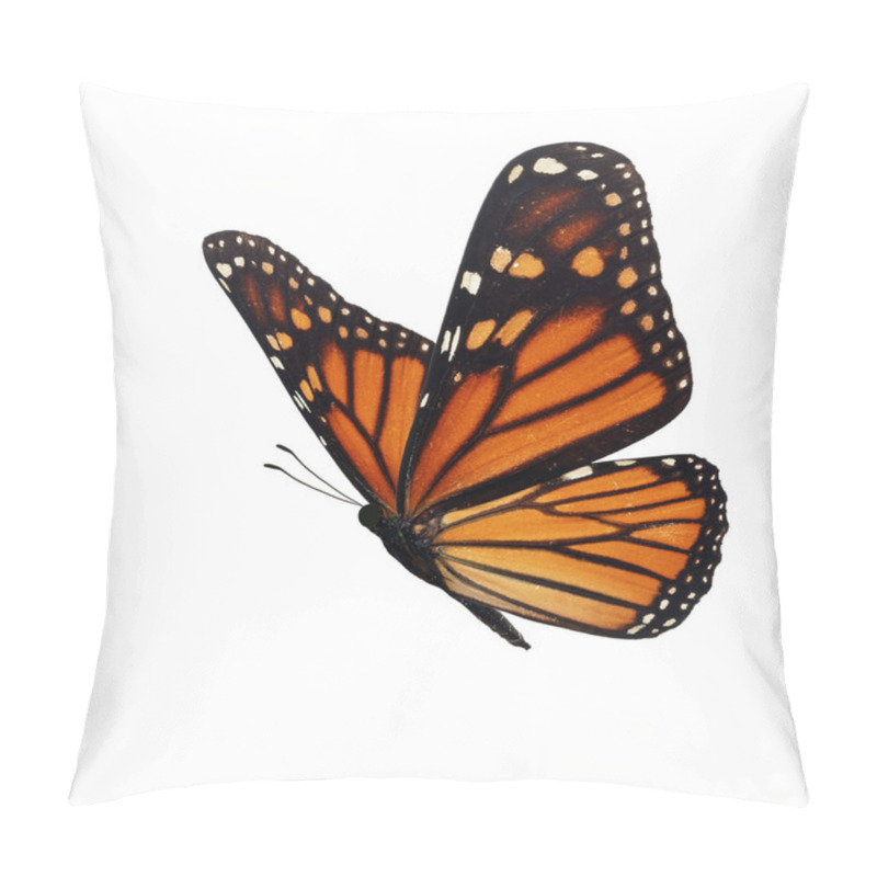 Personality  Beautiful Monarch Butterfly Isolated On White Background. Pillow Covers