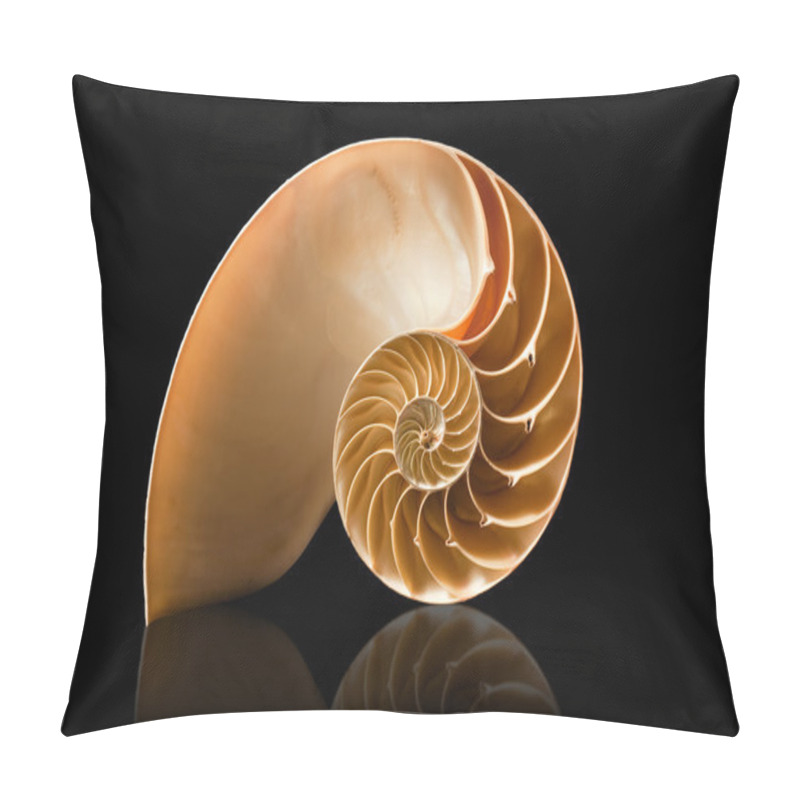 Personality  Nautilus Shell On Black Background Pillow Covers