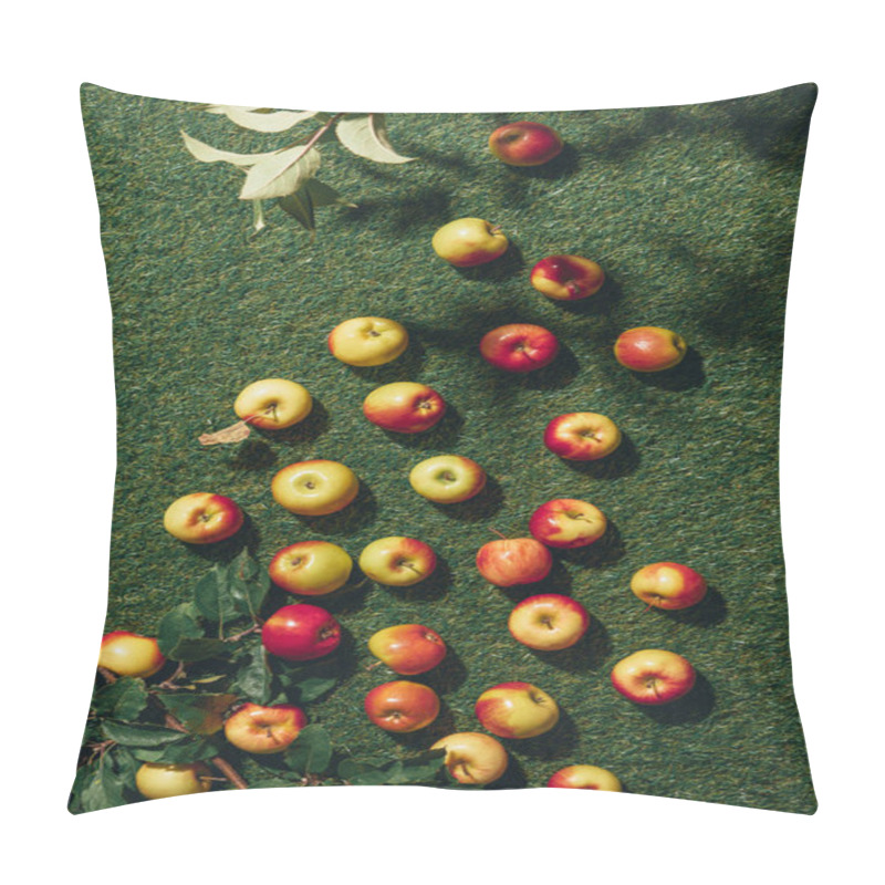 Personality  Top View Of Different Apples And Apple Tree Leaves On Green Grass Pillow Covers