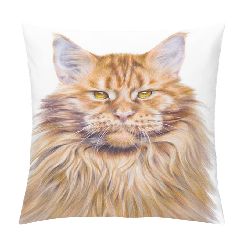 Personality  Colorful Handdrawing Portrait Of A Maine Coon Cat. Pet On White Background. Realistic Hand Drawin Pillow Covers