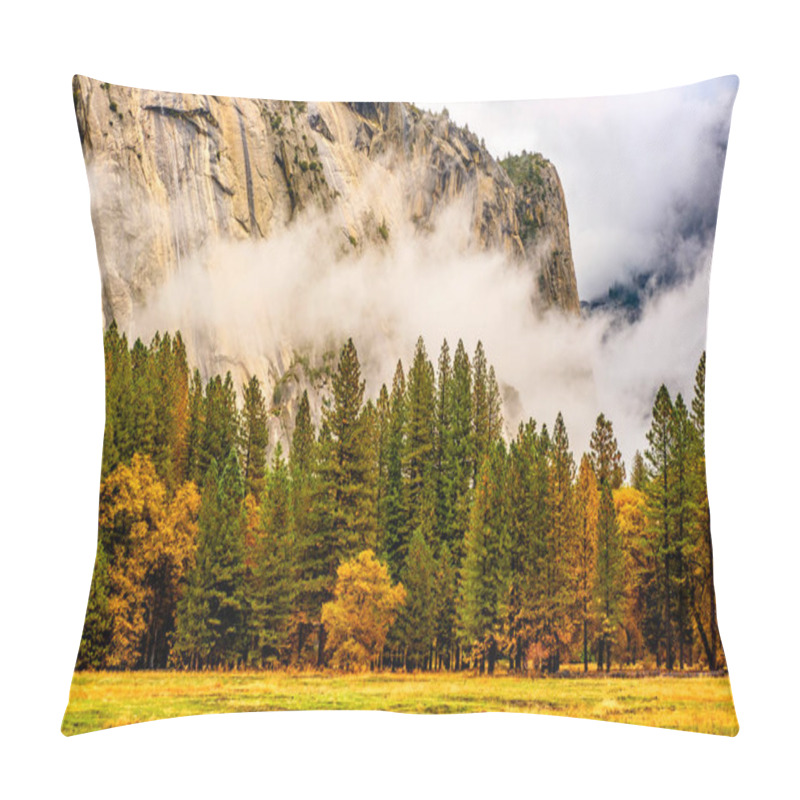 Personality  Park Full Of Gold Foliage Pillow Covers