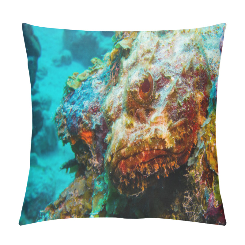 Personality  Scorpion Fish Pillow Covers