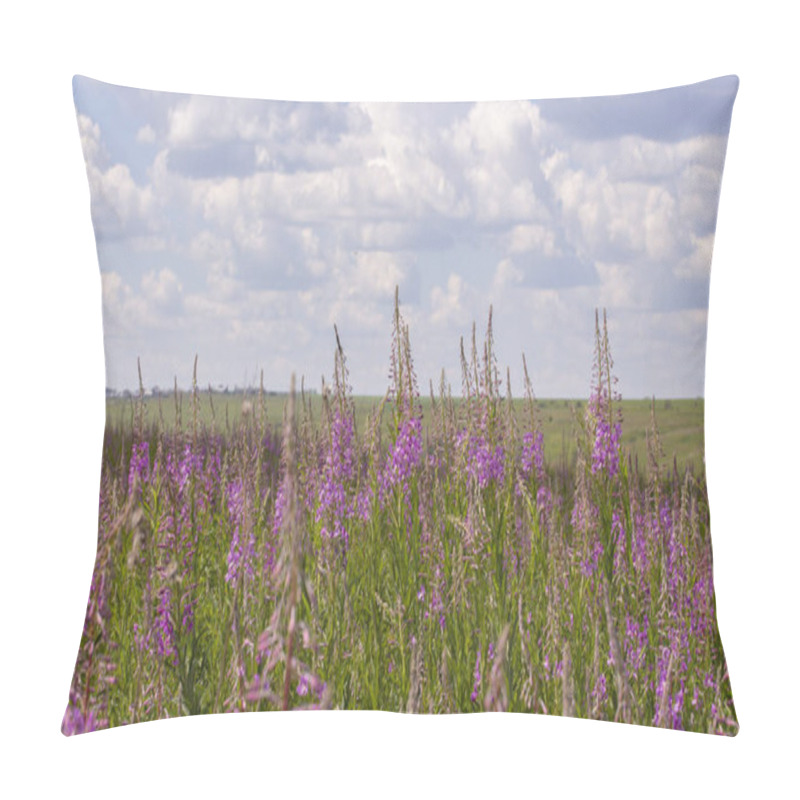 Personality  Blossom Meadow Willow-herb In Nature Field Horizon Sky Pillow Covers