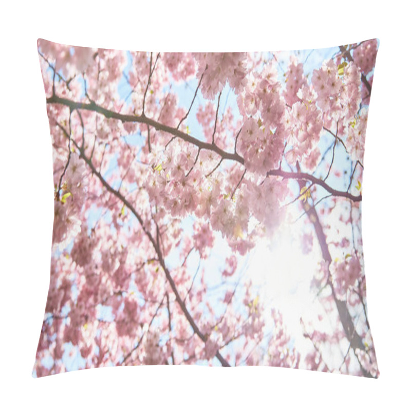 Personality  Pink Cherry Blossoms On Tree With Sun Light Panorama Pillow Covers