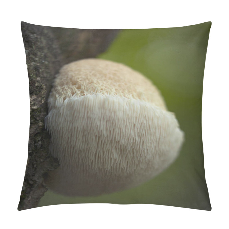 Personality  Beautiful Mushroom (Hericium Erinaceus) Close Up. Pillow Covers