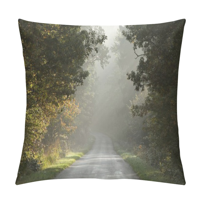 Personality  Country Road In Misty Forest At Dawn Pillow Covers