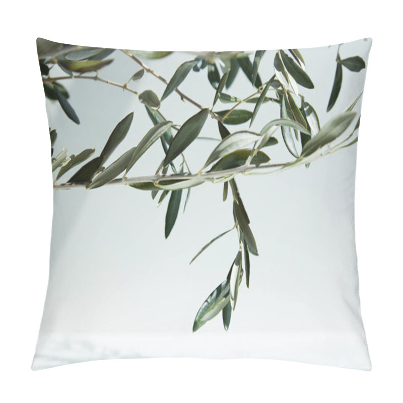 Personality  Close Up View Of Olive Branches In Front Of White Wall With Shadow  Pillow Covers