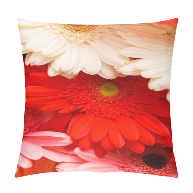 Personality  Beautiful Gerbers Pillow Covers