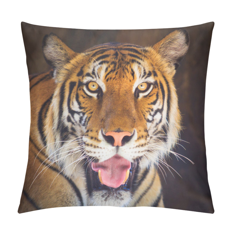 Personality  Tiger Pillow Covers