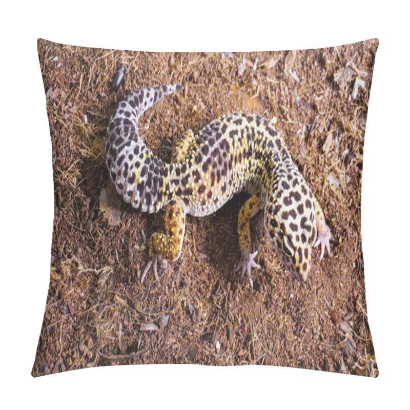 Personality  Close-up Of A Leopard Gecko, A Popular Exotic Pet With Vibrant, Spotted Skin, Scales, And Unique Colors. This Nocturnal Reptile Thrives In Desert Habitats, Showcasing Natural Camouflage And Predator Instincts. Pillow Covers