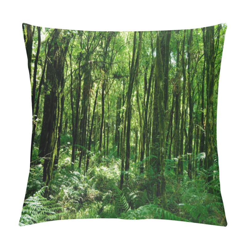 Personality  Rainforest Pillow Covers