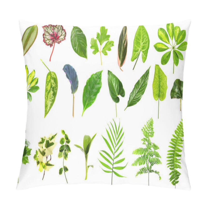 Personality  Different Houseplants Leaves Pillow Covers