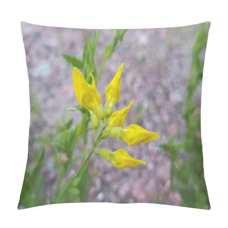 Personality  Melilotus Officinalis Perennial Herbaceous Plant, Yellow Flowers Close-up Pillow Covers