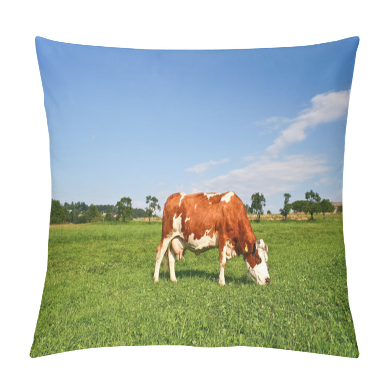 Personality  Grazing Cow Pillow Covers