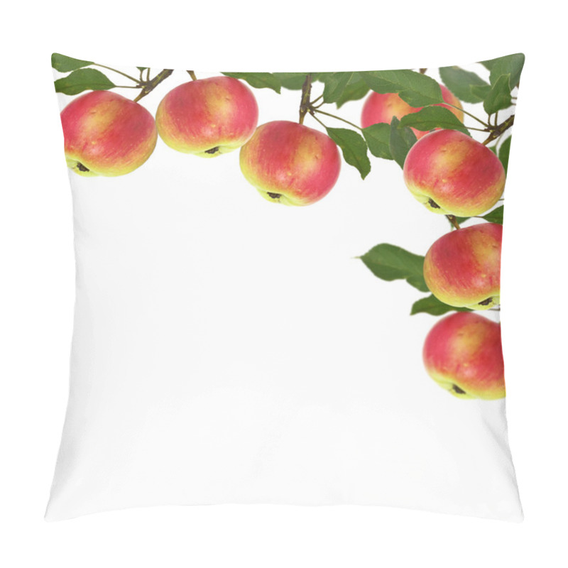 Personality  Fresh Apples Isolated On White Pillow Covers