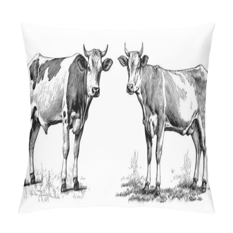 Personality  Cows Two Sketch Hand Drawn In Doodle Style Illustration Pillow Covers