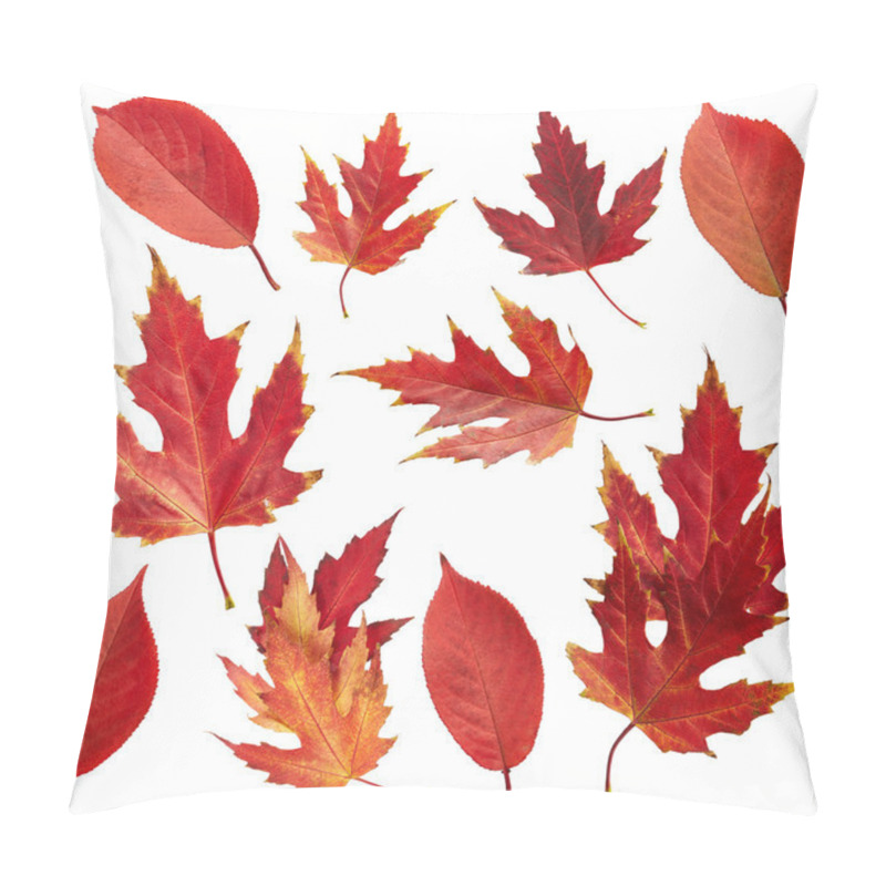 Personality  Autumn Red Leaves Pillow Covers