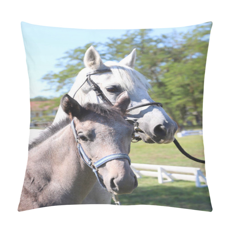 Personality  Young Mare And His Foal Show Off Their Skills On A Beautiful Summer Day, Equestrian Atmosphere Pillow Covers