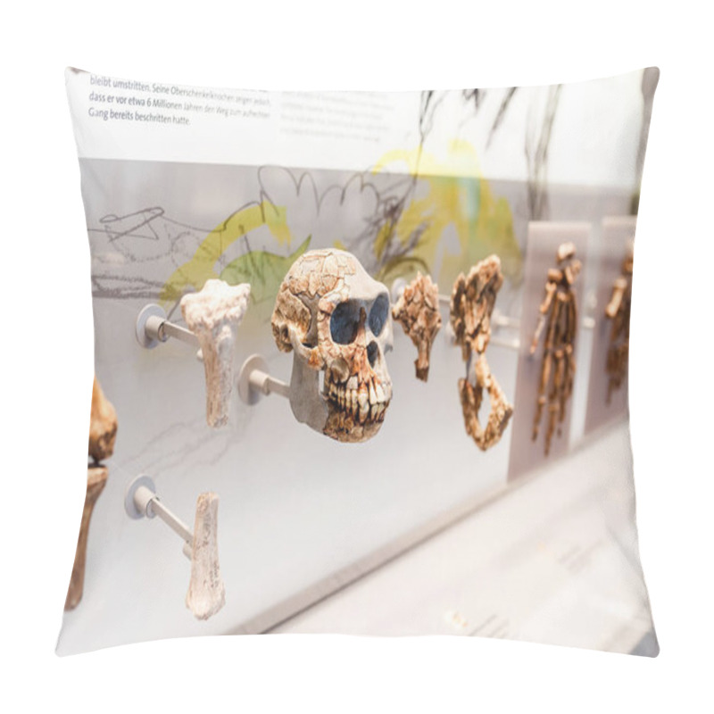 Personality  24 MARCH 2017, VIENNA, MUSEUM OF NATURAL HISTORY, AUSTRIA: Prehistoric Old Skulls Of Neanderthal People In A Hall In A Museum Pillow Covers