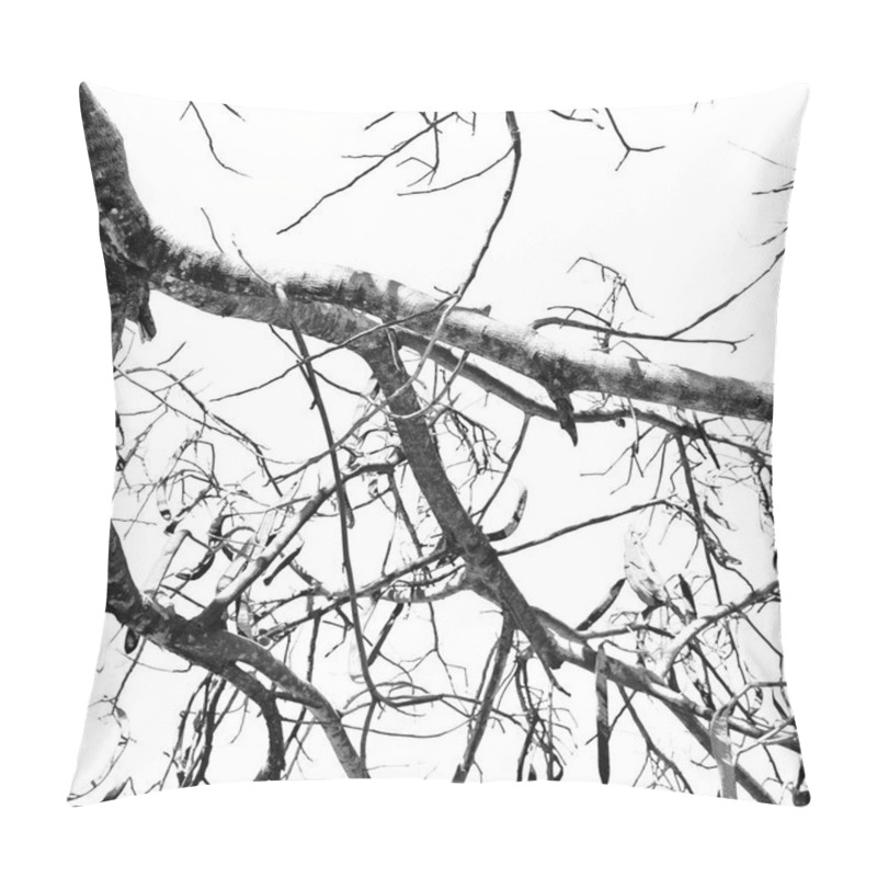 Personality  Abstract Texture Of A Branches In The Empty Sky Like Concept Pillow Covers