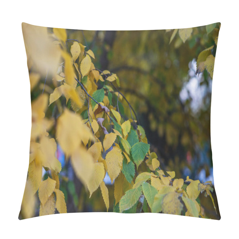 Personality  A Cascade Of Yellow And Green Birch Leaves Creates A Soft, Layered Texture, Set Against The Bokeh Of A Tranquil Park In The Gentle Light Of Autumn. Pillow Covers