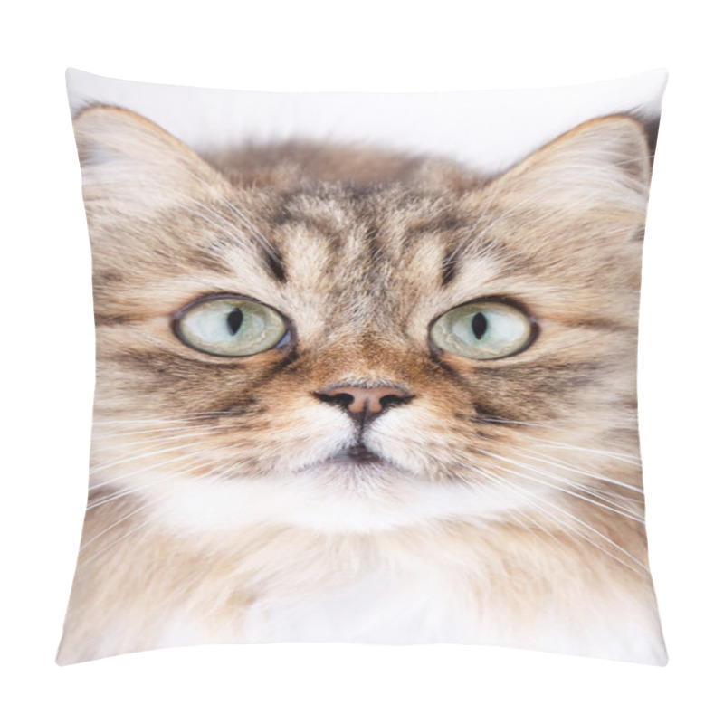 Personality  Close-up Portrait Of Siberian Cat Pillow Covers