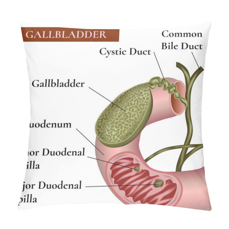 Personality  Gallbladder. Bile Duct. Pillow Covers