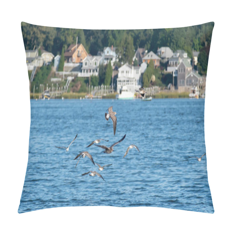 Personality  Seagulls Over Greenwich Bay Harbor Seaport In East Greenwich Rho Pillow Covers