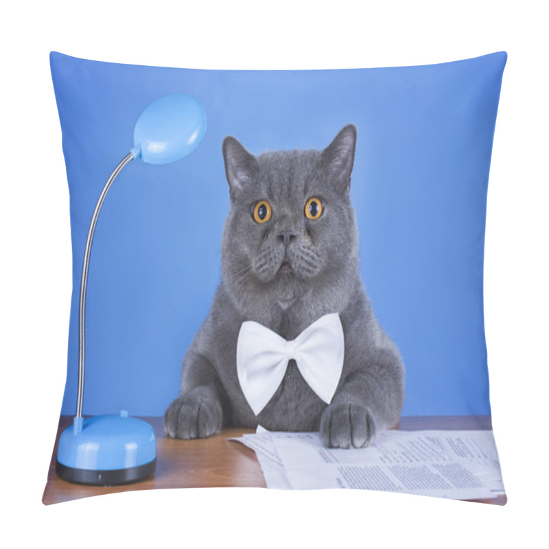 Personality  Huge British Cat Sitting At The Table Pillow Covers