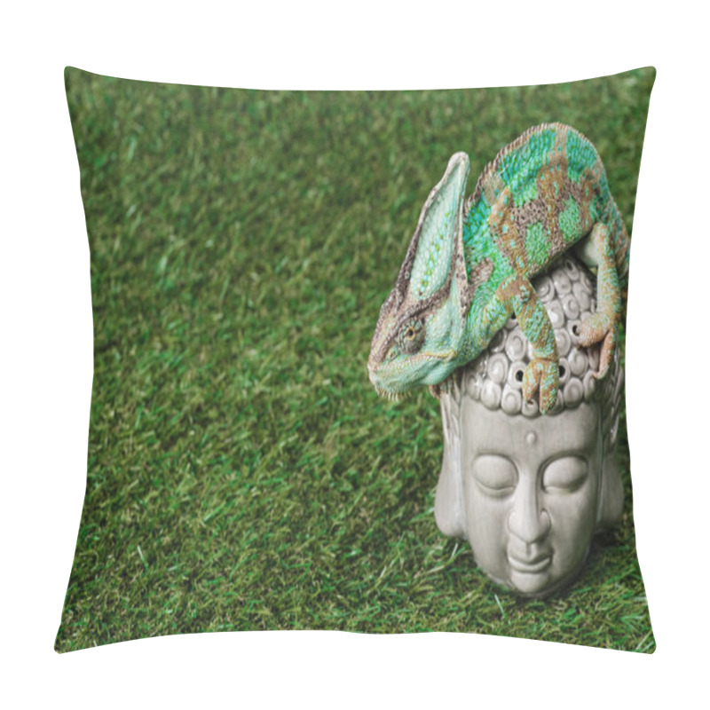 Personality  Beautiful Bright Green Chameleon Sitting On Buddha Head Pillow Covers