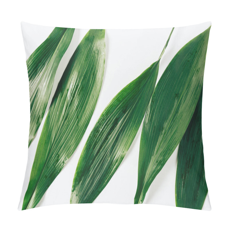 Personality  Top View Of Green Foliage With Water Drops On White Background Pillow Covers