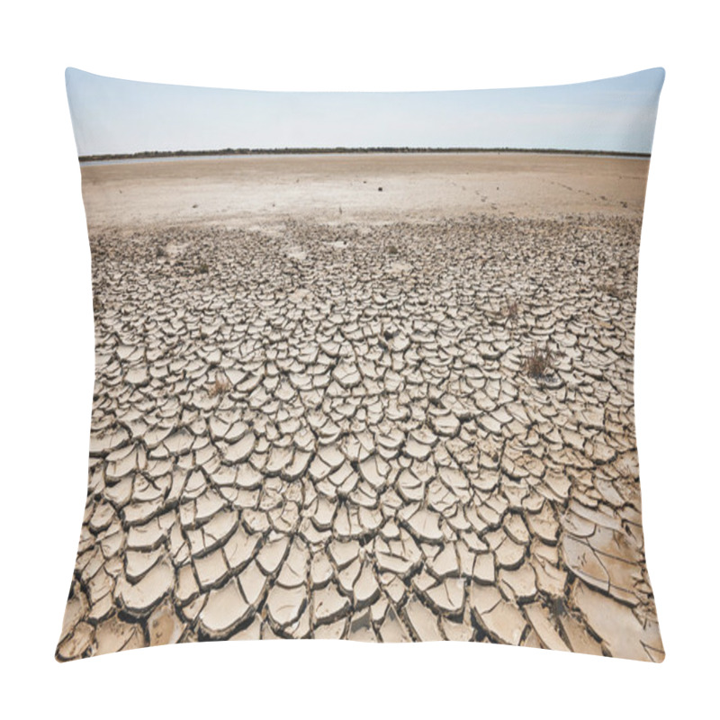 Personality  Arid And Waste Land Pillow Covers