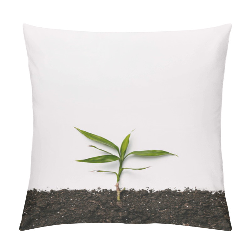 Personality  Top View Of Green Plant In Soil Isolated On White Pillow Covers